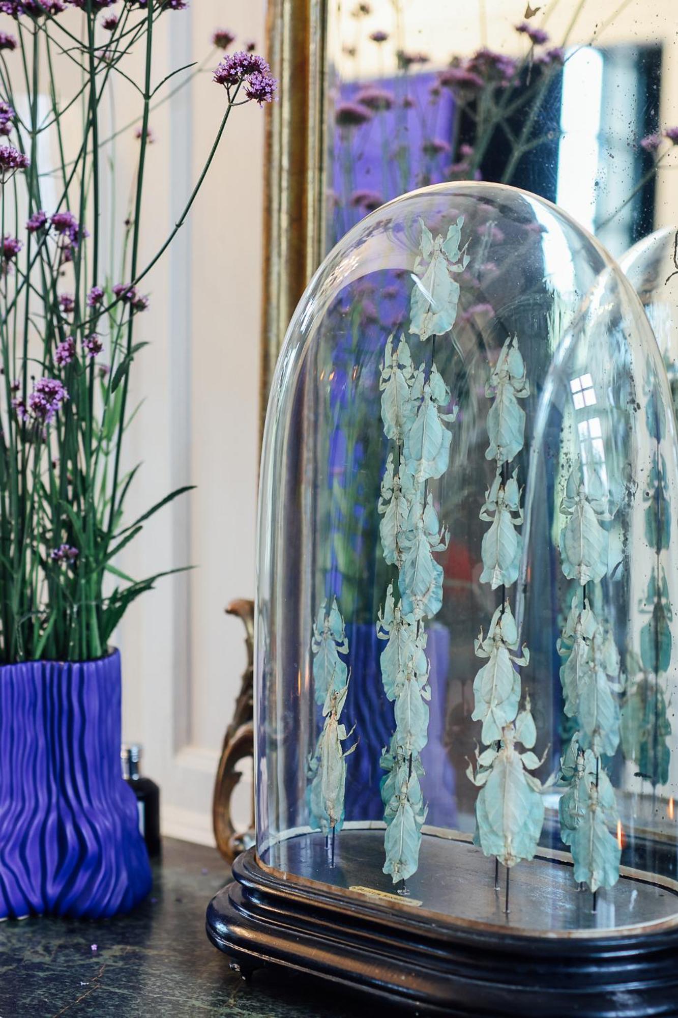 Malouiniere Guillaume Onffroy Bed & Breakfast Saint-Malo Luaran gambar